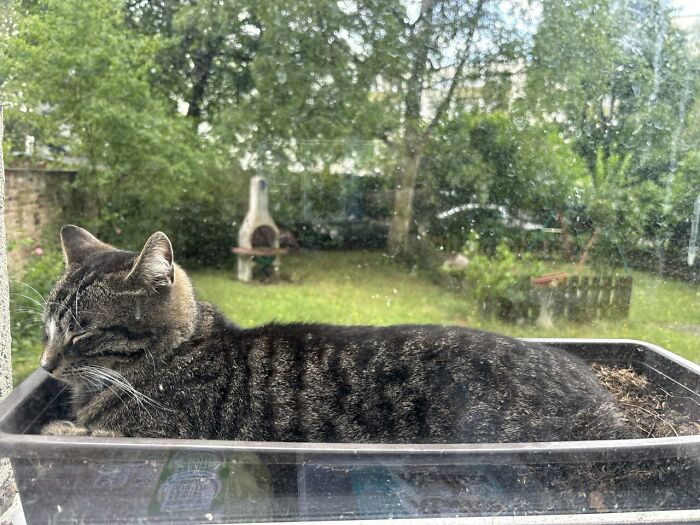 The Reason I Can't Grow Herbs There ... The Mighty Baal