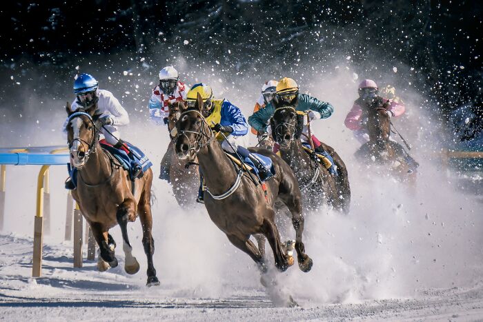 Horse race in snowy conditions with jockeys competing fiercely, illustrating the energy and speed of student names.