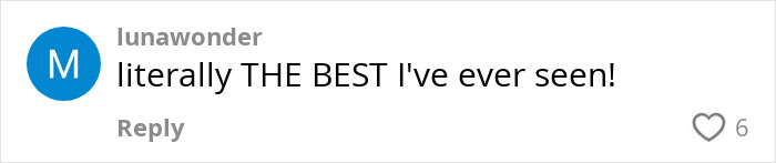 Social media comment praising a post, expressing excitement and calling it the best seen, with six likes.