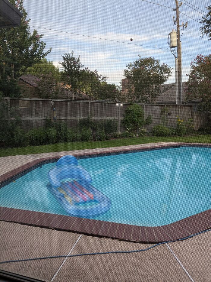 I Want To Go Swimming, But It Won't Stop Raining Long Enough. The Garden Is Growing Nicely, Though