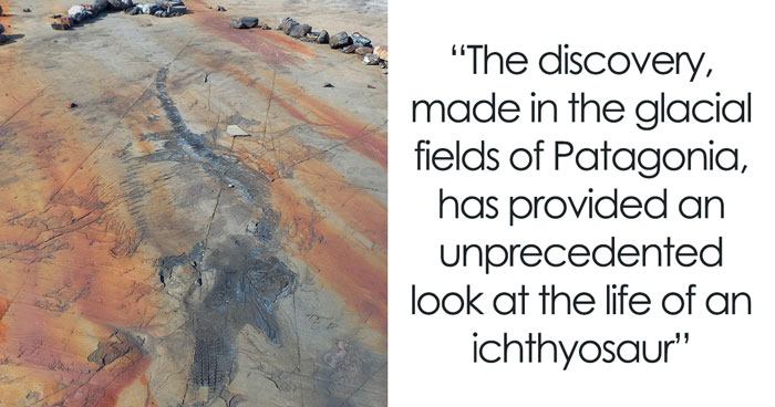 Scientists Discover Incredible Pregnant Sea Reptile Fossil That Reveals The Ocean’s Darkest Secrets