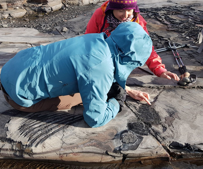 Two researchers examine a sea reptile fossil over 100 million years old embedded in rocky sediment outdoors.