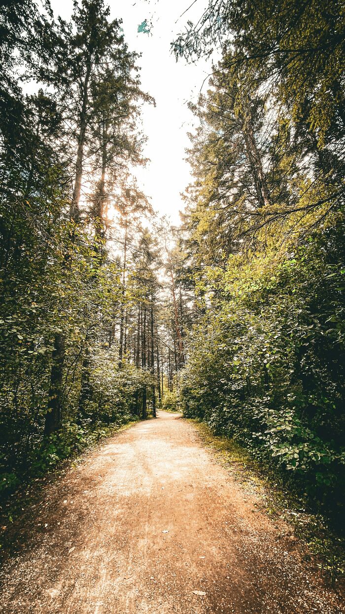 “That Still Haunts Me”: 50 Times People Ignored Their Gut Feeling And Deeply Regretted It