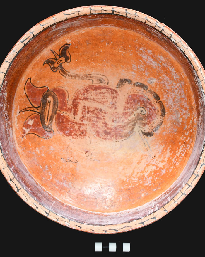 Ancient Maya ceramic bowl with intricate painted design, part of priceless artifacts from Texas couple's royal tomb discovery. - 12