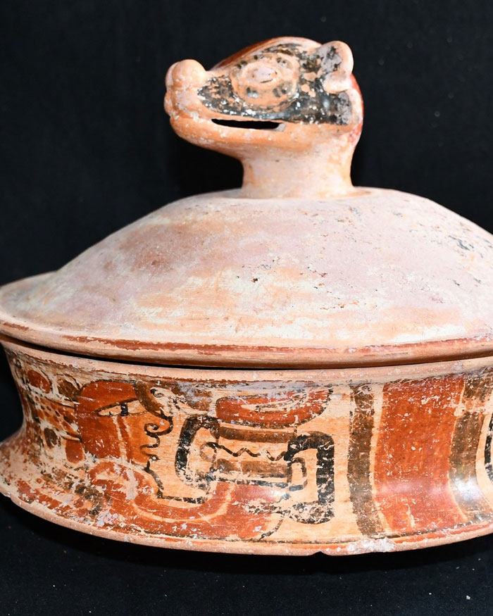 Ancient Maya ceramic vessel with intricate designs from a royal tomb unearthed by a Texas couple after decades of searching - 8