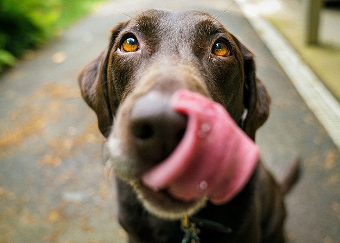 45 Private Investigators Share The Strangest Things They’ve Encountered On The Job - 8