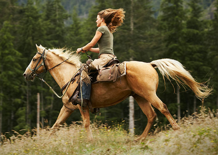 Woman riding a horse at full speed in a forested area, capturing a sense of adventure and discovery by private investigators. - 36