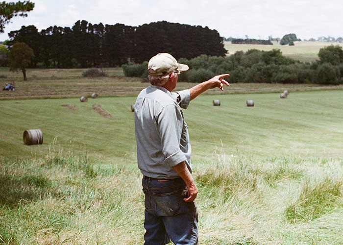 Private investigator surveying a rural field with hay bales, discovering strange things during an investigation. - 14