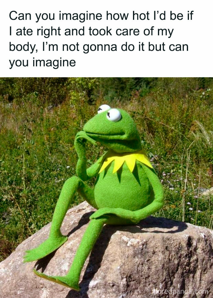 Kermit the Frog meme humorously imagining how hot he'd be with proper self-care, fitting funny memes about not taking life seriously.