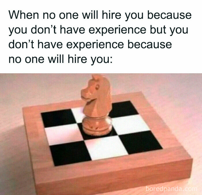 Funny and random meme showing a lone chess knight on a small board illustrating job experience catch-22 situation.