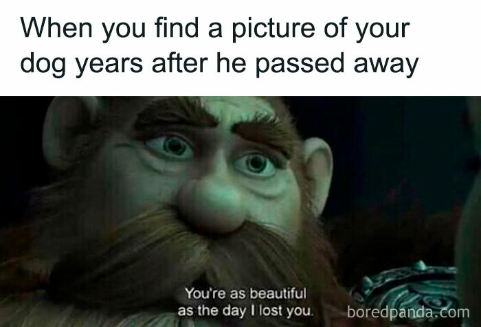 Emotional meme from 73 funny and random memes showing a saddened animated character recalling a lost dog.