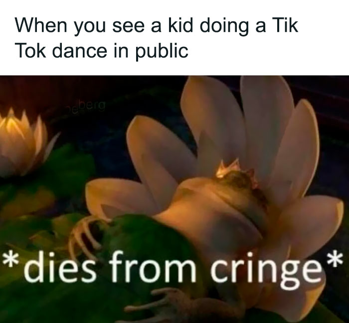 Animated frog lying on a flower with caption about TikTok dance, a funny and random meme relatable to many at home.