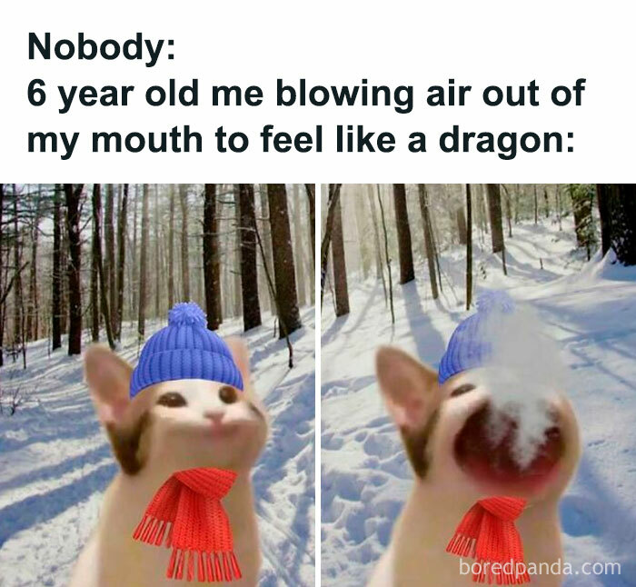 Cat in a blue beanie and red scarf blowing air in snowy forest, a funny meme capturing nostalgic playful moments.