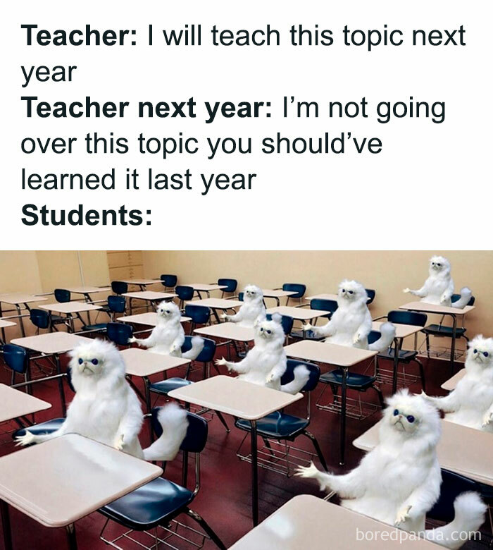 Classroom meme with confused cats, illustrating funny and random memes that might hit way too close to home.