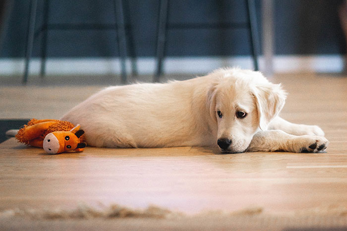 “I Could Go To Jail”: 50 People Share The Deepest Secrets They’ve Never Told A Soul