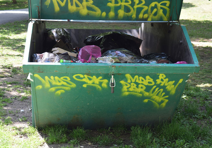 Overflowing dumpster with graffiti in a grassy area, indicating signs to look out for to avoid unsafe neighborhoods.