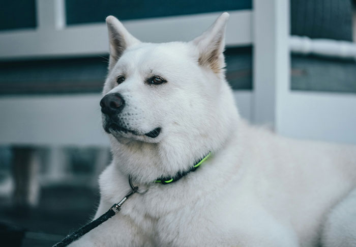 If You See These 50 Things In A Neighborhood, Folks Online Suggest You Run Immediately