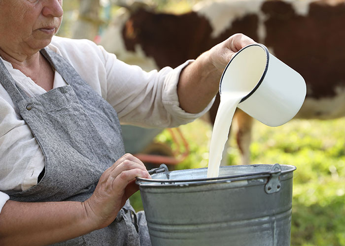 Person pouring fresh milk into a metal bucket on a farm, showing seemingly harmless things that can be dangerous.