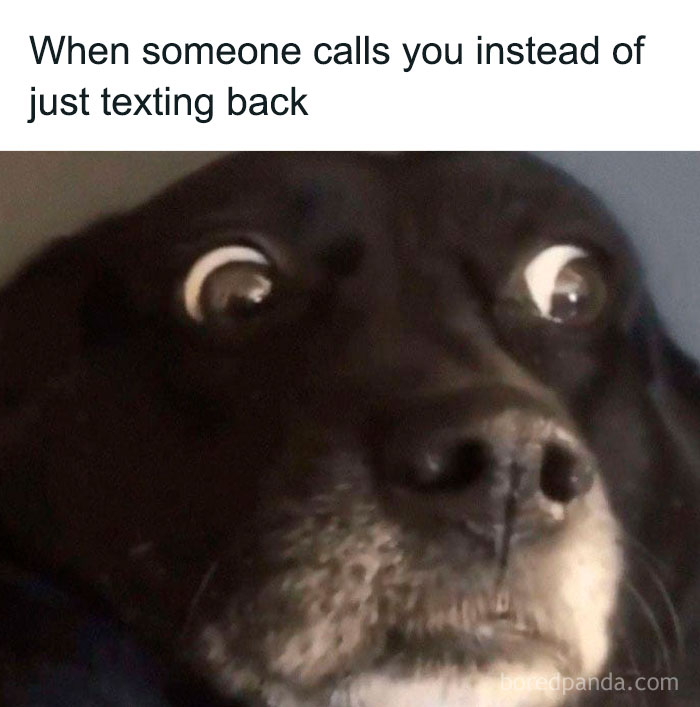 Close-up of a black dog with wide eyes, illustrating social anxiety memes about unexpected phone calls.
