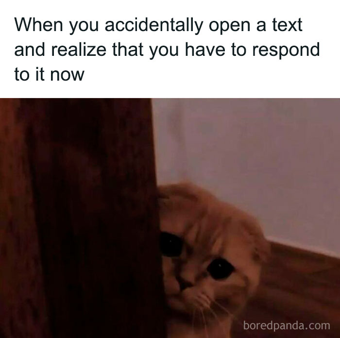 Cat peeking nervously from behind a door illustrating social anxiety memes about avoiding text message responses.