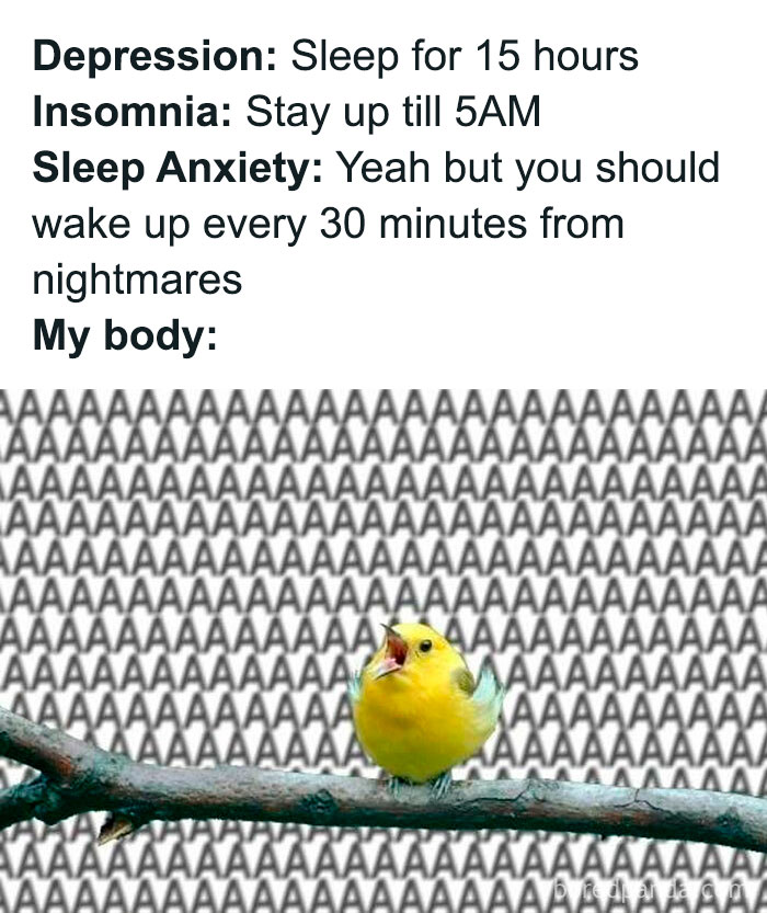 Text meme comparing depression, insomnia, and sleep anxiety with a bird screaming surrounded by repeated "A"s, related to social anxiety memes.
