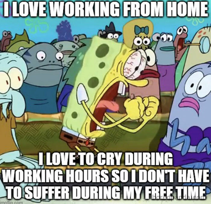 Cartoon character expressing frustration about working from home, highlighting the humor in work from home memes and challenges.