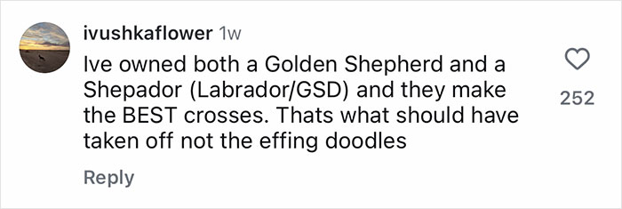 Comment about owning Golden Shepherd and Shepador dog crosses being the best and preferable over doodle mixes. Comment about owning Golden Shepherd and Shepador dog crosses being the best and preferable over doodle mixes.