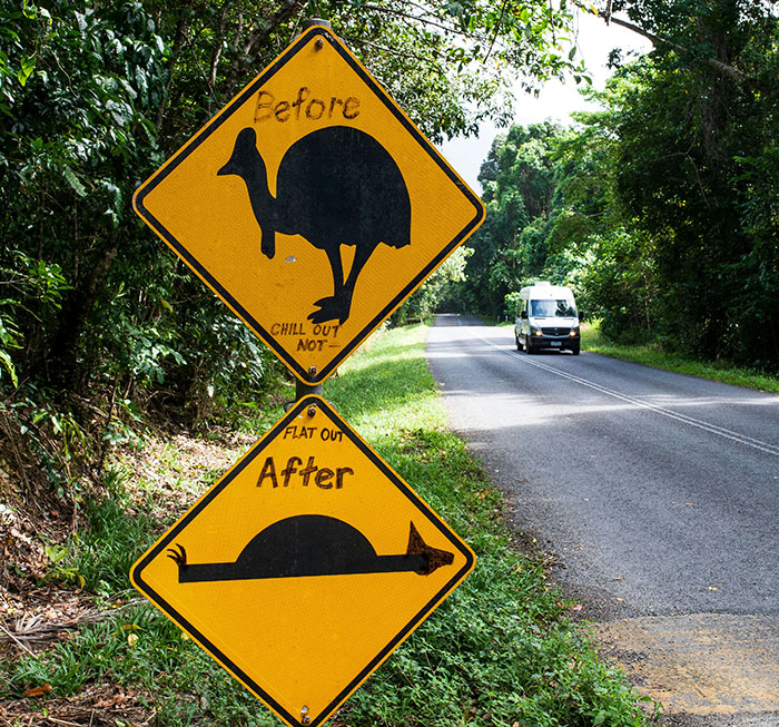 Humorous road signs showing a chicken before and after, near a road with a white van approaching, Florida woman attack context. - 15