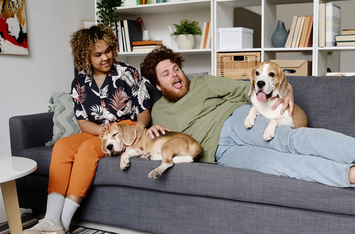 Two roommates sitting on a couch with two dogs, illustrating a roommate clash over cats and dogs legal battle. Two roommates sitting on a couch with two dogs, illustrating a roommate clash over cats and dogs legal battle.