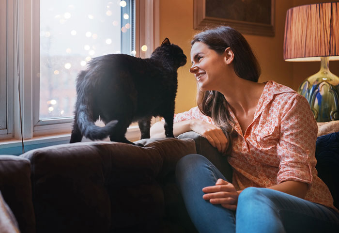 Woman sitting on a couch smiling at a black cat on the backrest, illustrating roommate clash over cats and dogs. Woman sitting on a couch smiling at a black cat on the backrest, illustrating roommate clash over cats and dogs.