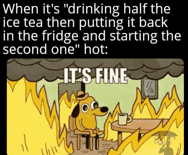 Cartoon dog sitting calmly in a burning room, illustrating funny summer meme about pretending to enjoy being outside.