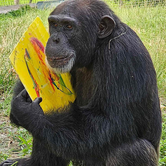 "That's Metal ASF": Ozzy Osbourne Teams Up With Chimps To Create Abstract Art For A Noble Cause