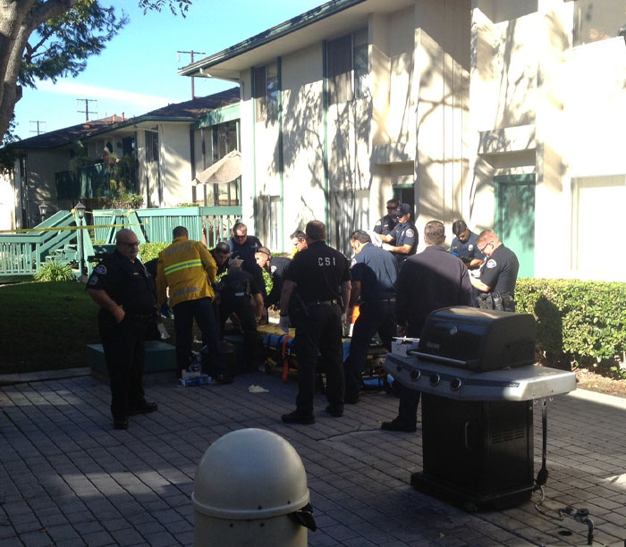 Police and emergency responders gathered outside an apartment complex, highlighting intense neighbor tales in wooded areas.