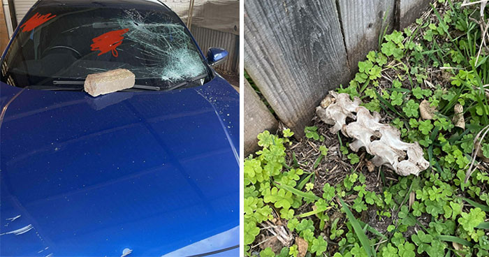 People Who Had The Worst Neighbors Shared What Happened