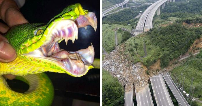 38 Creaciones de la madre naturaleza que nos han dado mucho miedo