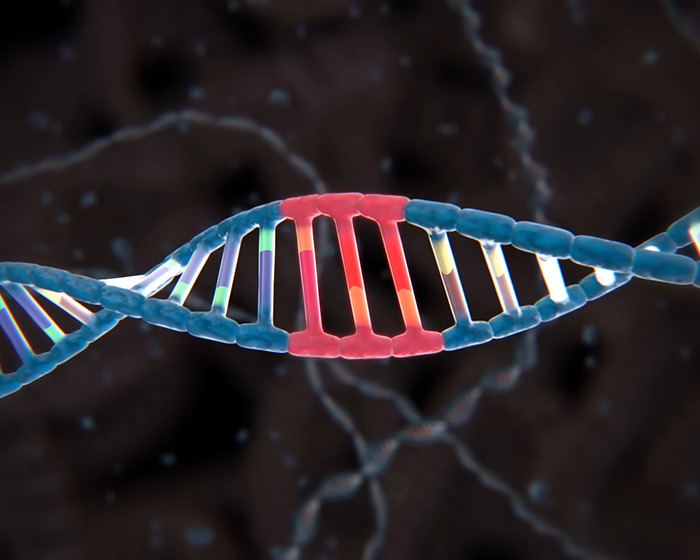 Close-up of DNA strand with highlighted gene section representing gene editing used by scientists to cure Down Syndrome.