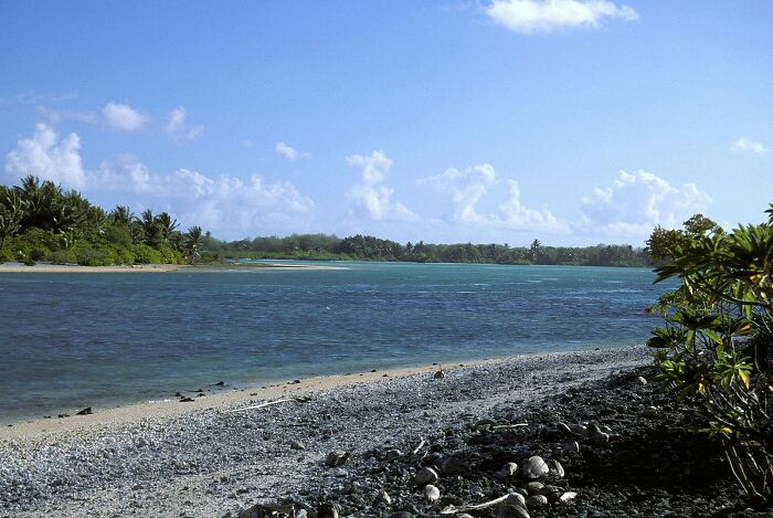 A remote island shoreline with clear blue water and palm trees, linked to Amelia Earhart mystery satellite discoveries.