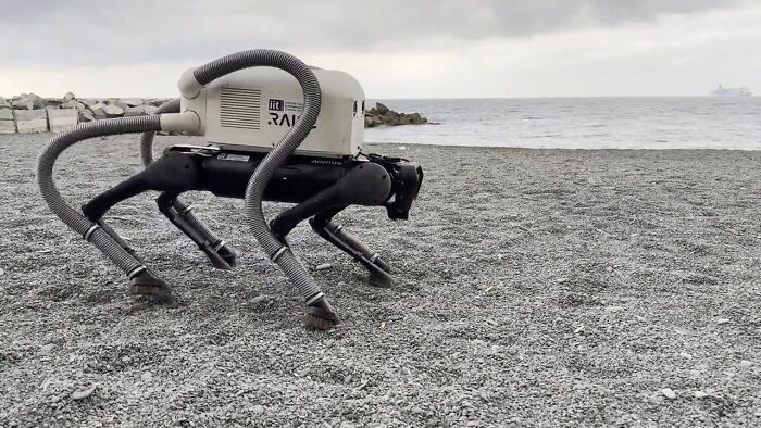 Robotic dog with hose-like attachments cleaning a pebble beach, showcasing small genius things some countries do.