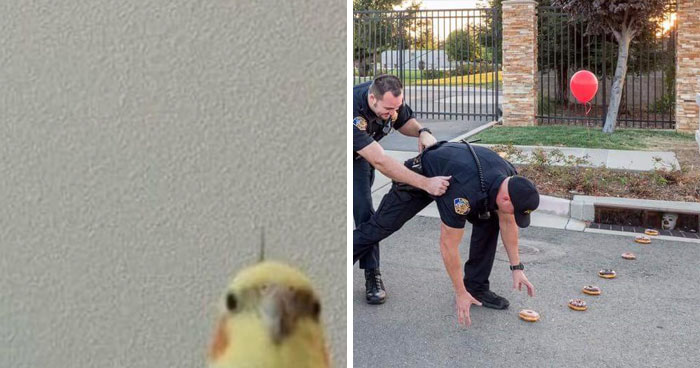 40 Mildly Disturbing Images That Must Be Cursed