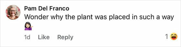 Comment from Pam Del Franco wondering why a plant was placed in an unusual way, with a laughing emoji reaction. Comment from Pam Del Franco wondering why a plant was placed in an unusual way, with a laughing emoji reaction.