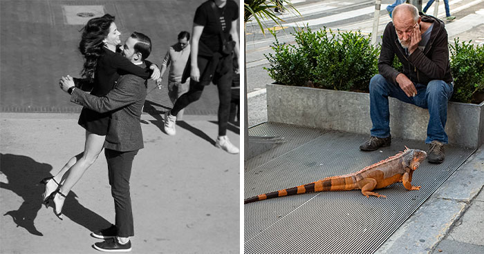 These 40 Photos Weren’t Planned Or Staged, They Just Happened And I Was There To Catch Them