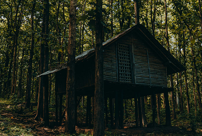 Old wooden treehouse in dense forest representing childhood stories that are unexpectedly messed up and haunting.