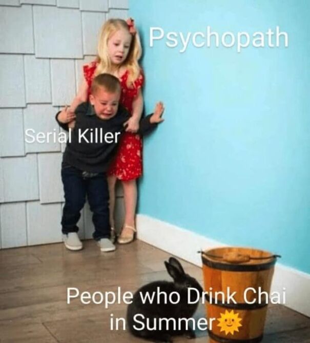 Two kids labeled psychopath and serial killer looking scared at a bunny labeled people who drink chai in summer in a funny summer meme.
