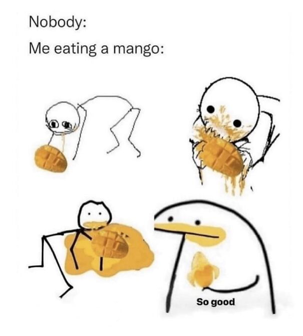 Funny summer meme showing stick figures and a penguin eating messy mangoes, capturing the humor of summer fruit struggles.