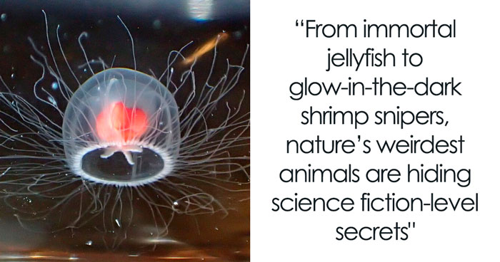 The Science Behind The 30 Craziest Animal Facts
