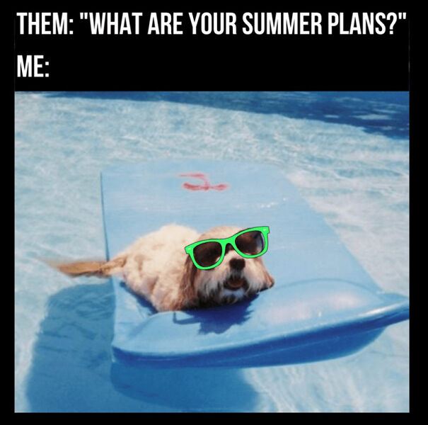 Dog wearing green sunglasses relaxing on a pool float, a funny summer meme about summer plans and enjoying outside.