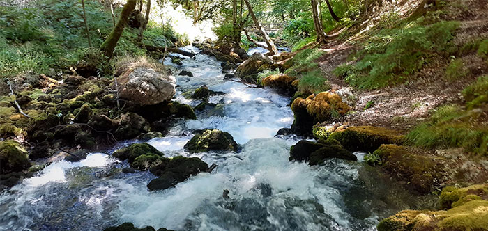 Fast flowing forest creek with moss-covered rocks, showing a natural scene of seemingly innocent things that are deadly.