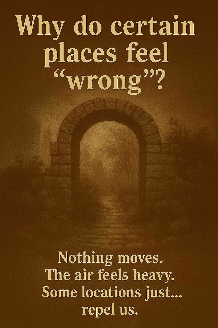 "Accurate Premonitions": 35 Things That Still Stump Scientists