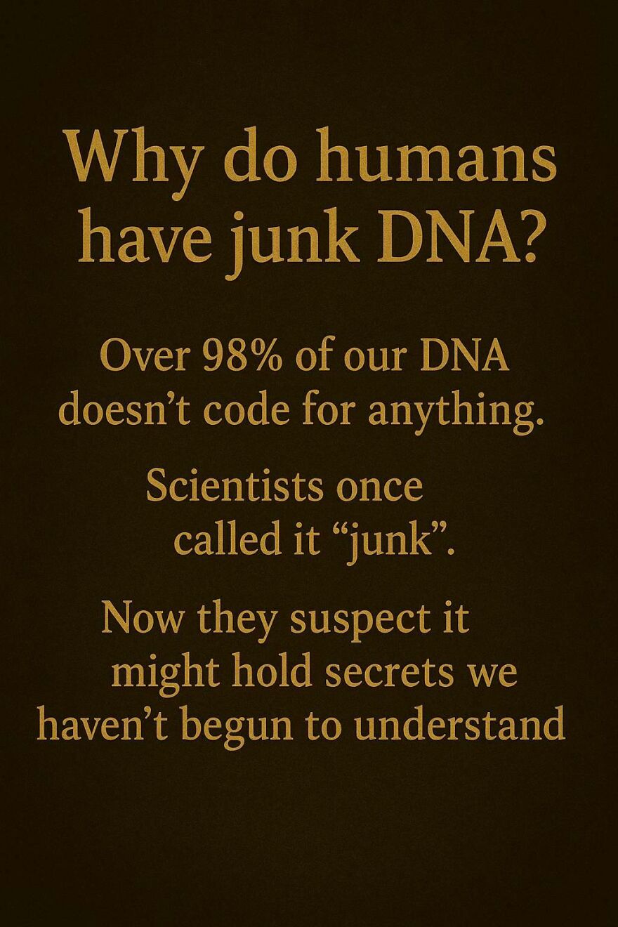 Text about why humans have junk DNA, highlighting scientists' ongoing questions and mysteries in DNA research.