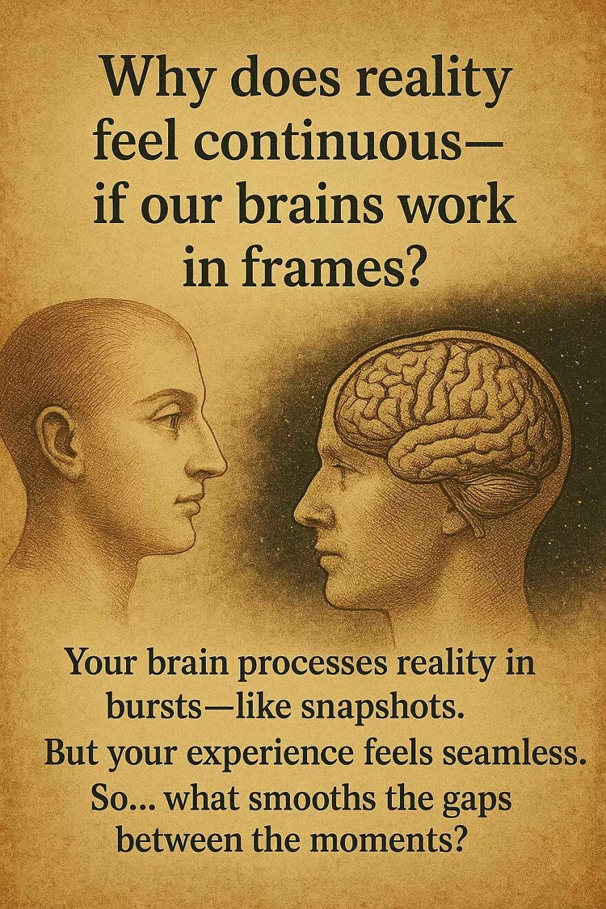 Illustration showing a human head and brain with text about brain processing and questions scientists and philosophers ponder.